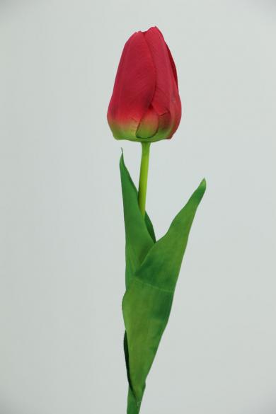 R60