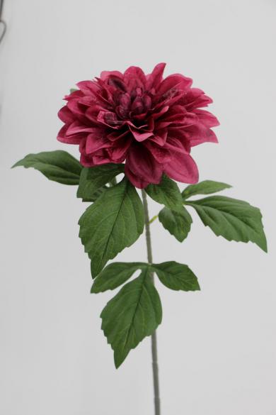 PRINTED FUCHSIA