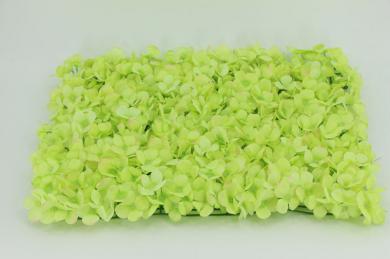 HYDRANGEA LAWN 40X60CM