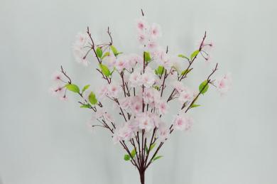 CHERRY BUSHX7,72CM