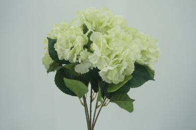 G15