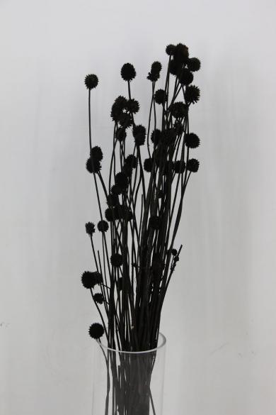 dry flower 50g/bun