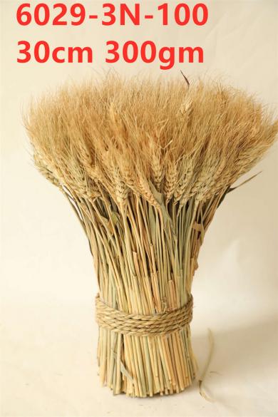 standing wheat 300g/bun 30cm