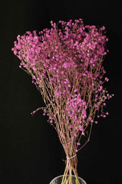 gypsophila preserved 50gm