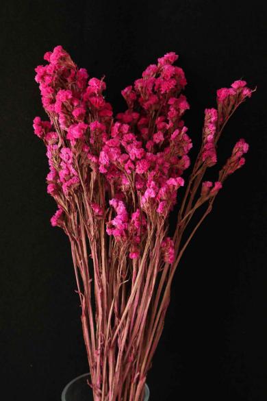 preserved flower 50gm