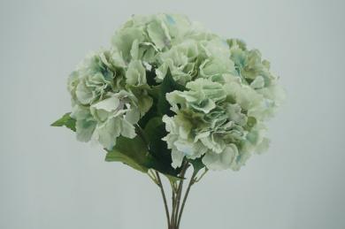HYDREAGEA BUSH
